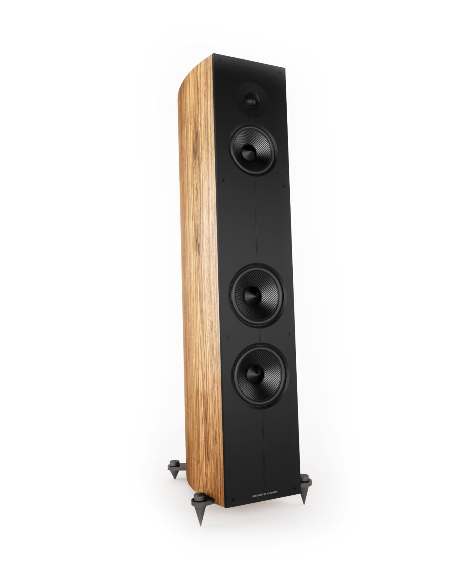 Acoustic Energy Corinium Speaker System / pr.